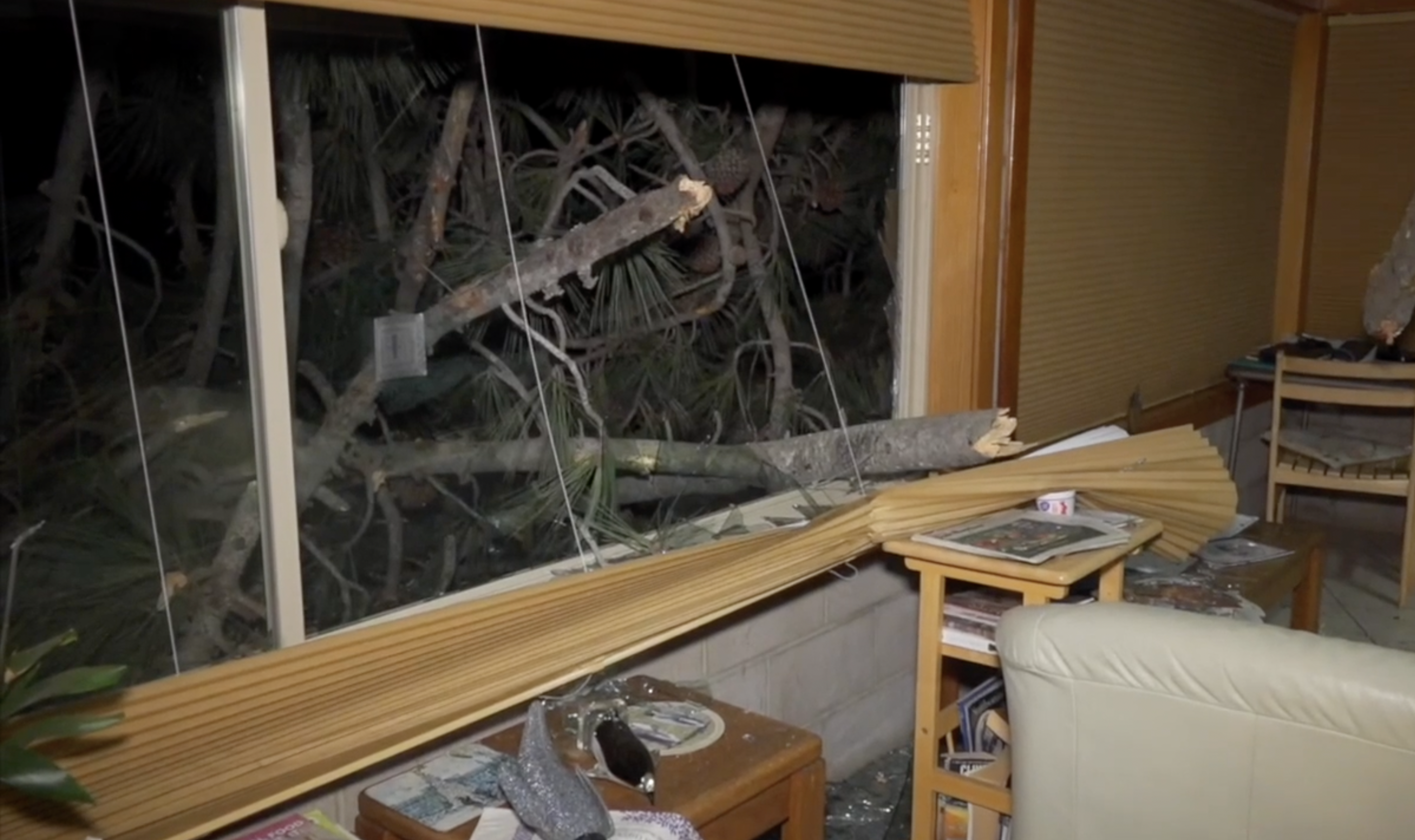 Sinkholes, fallen trees across North County impact residents