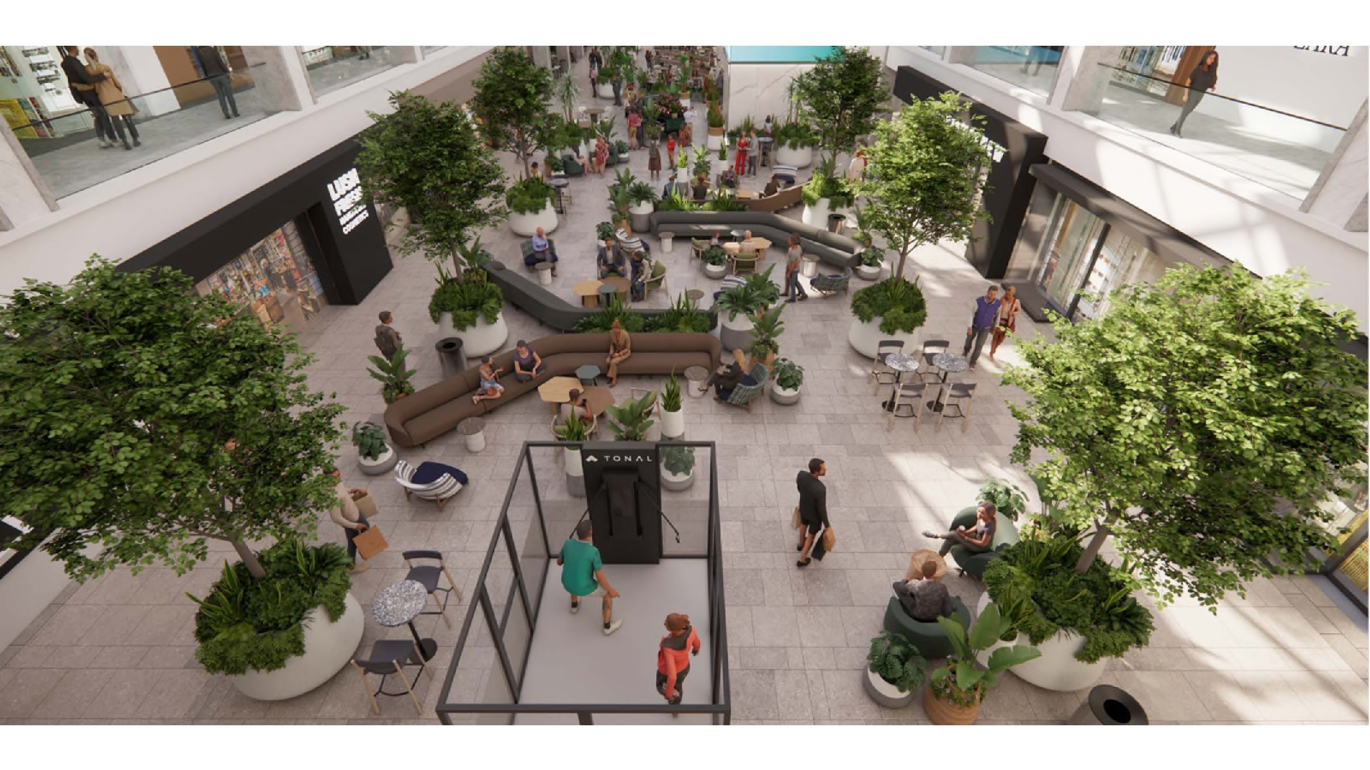 Palm Court.jpg