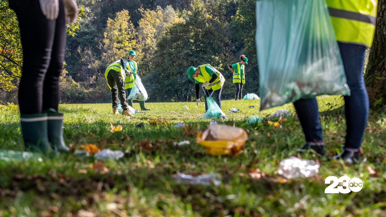 Trash cleanup