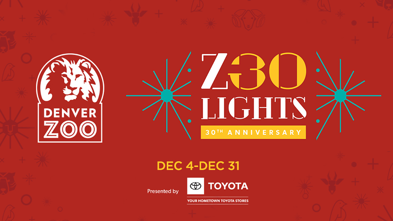 denverzoolights-2020.png