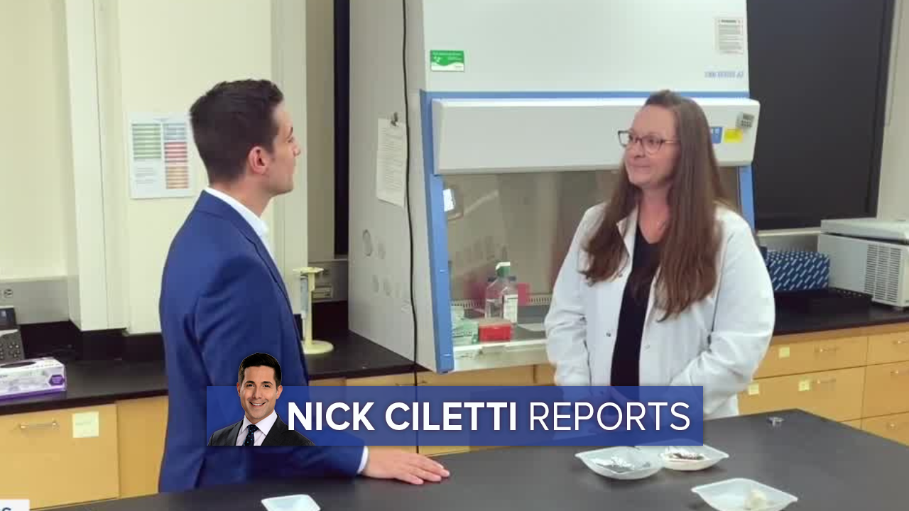 Nick Ciletti (7).png