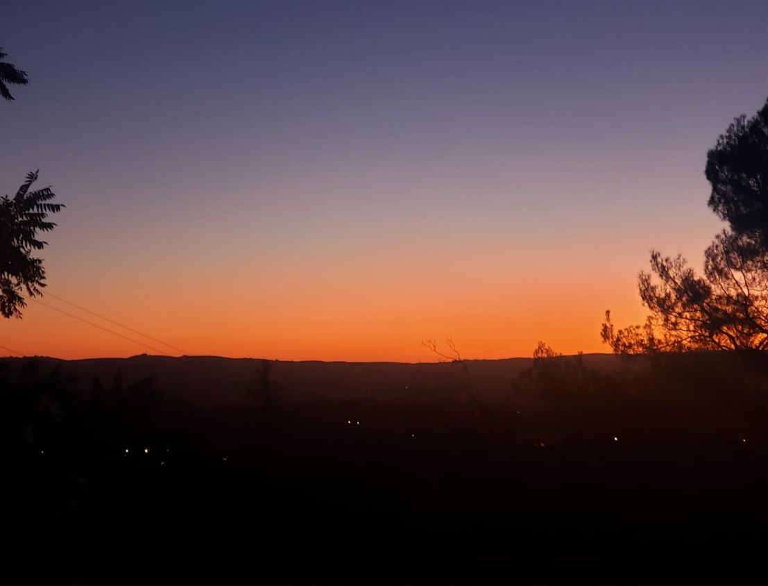 Patty Santoianni_102419.JPG