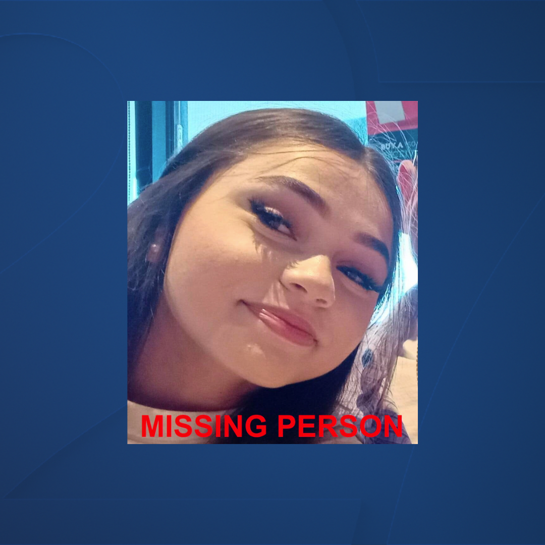 JULIE MORAN LOVELL missing suwannee county.png