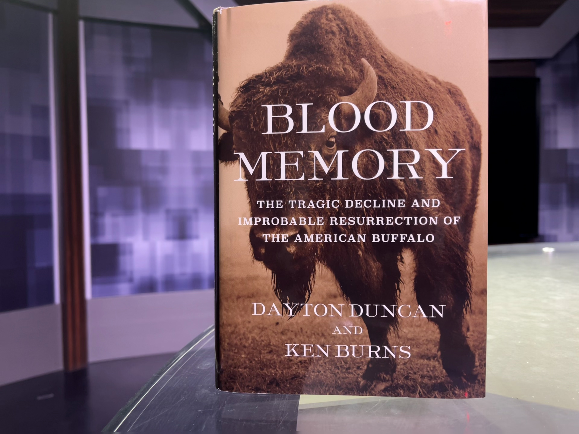 Blood Memory.jpg