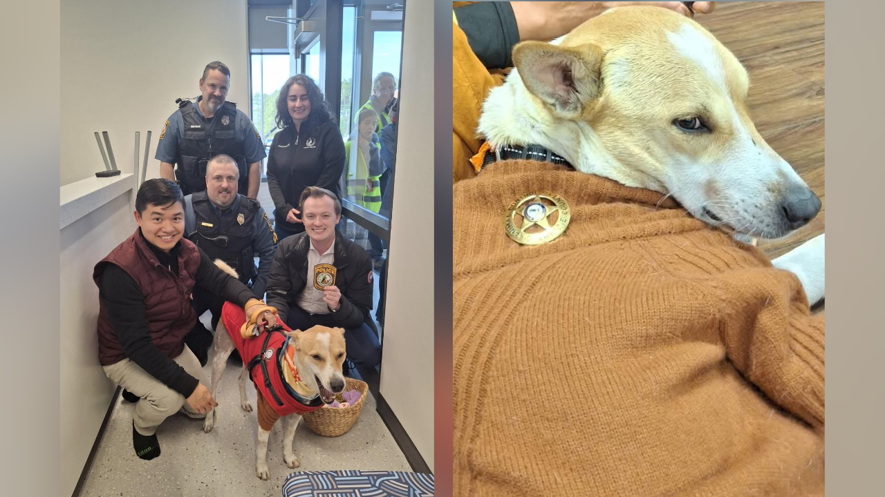 Aloka honored in Central Virginia