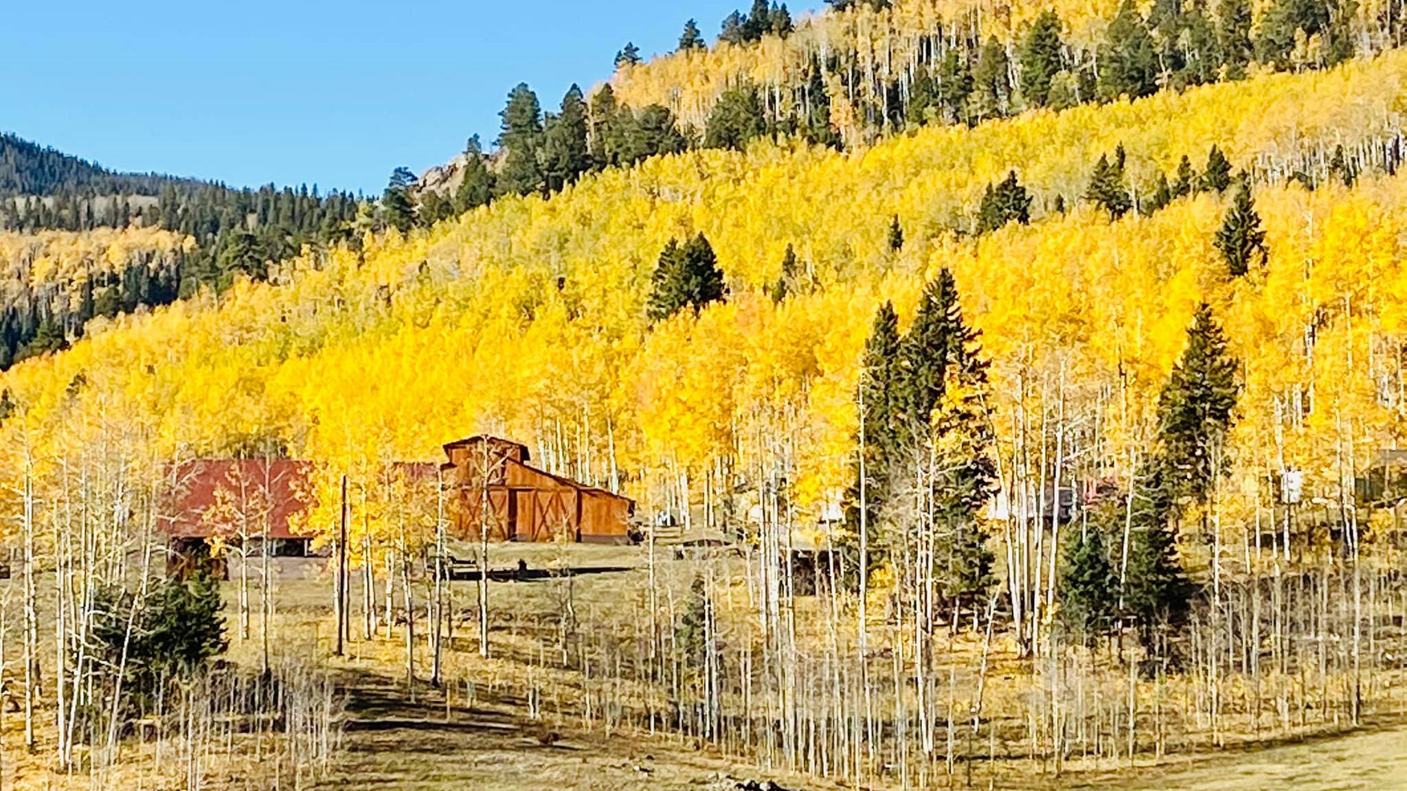 Ophir Creek Carol Gebhart