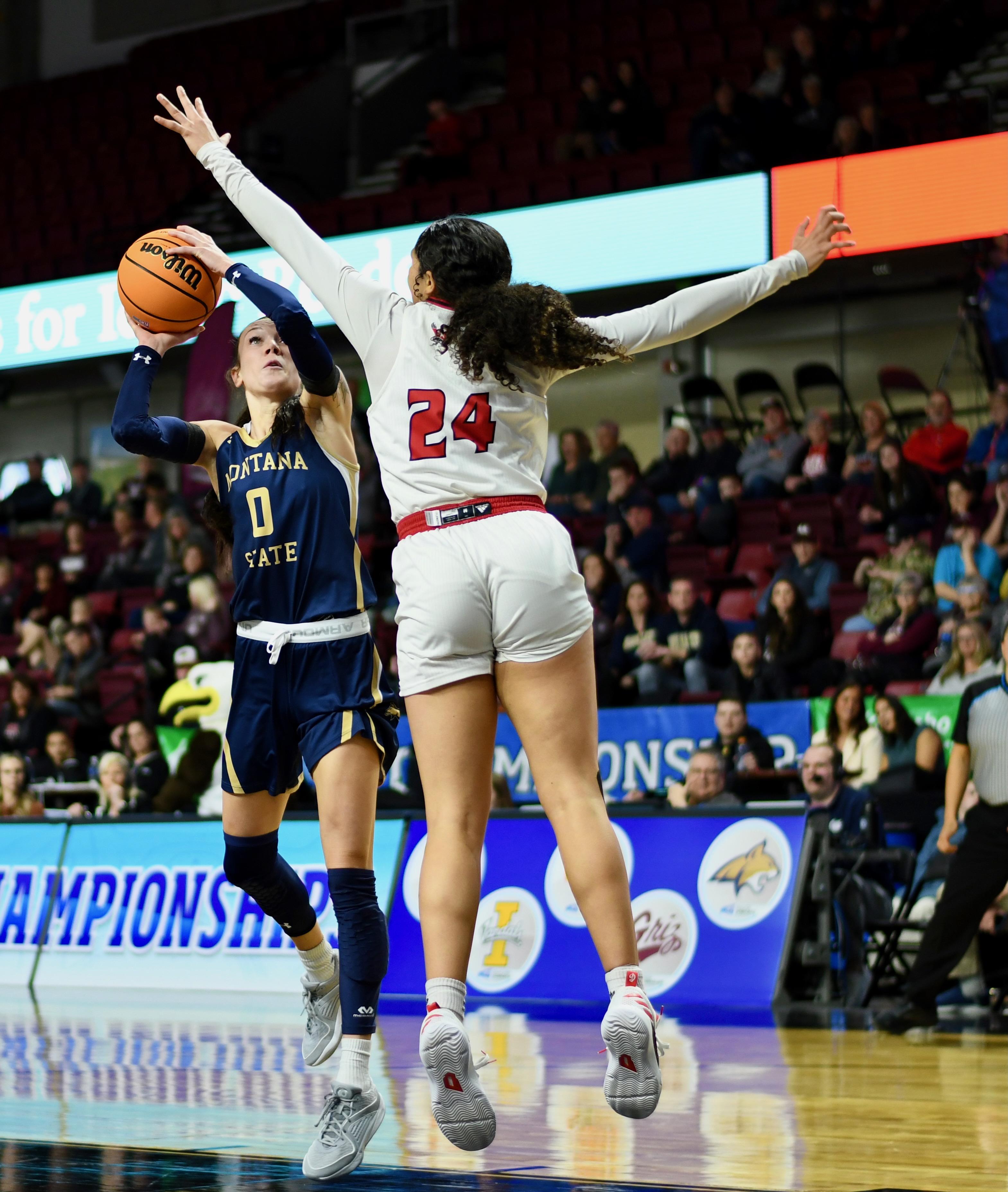 Montana State women's basketball