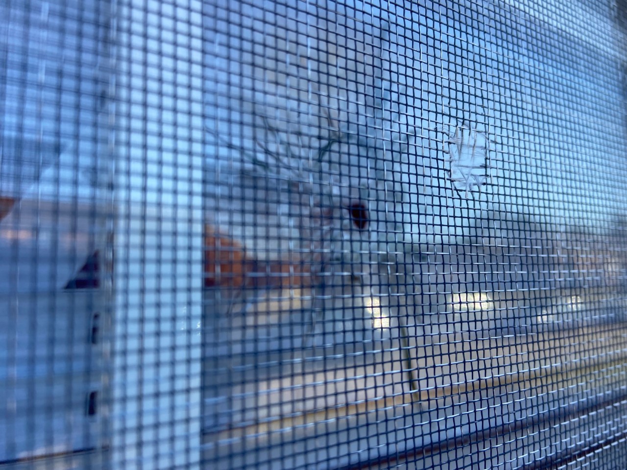 Petersburg apartment shooting.jpg