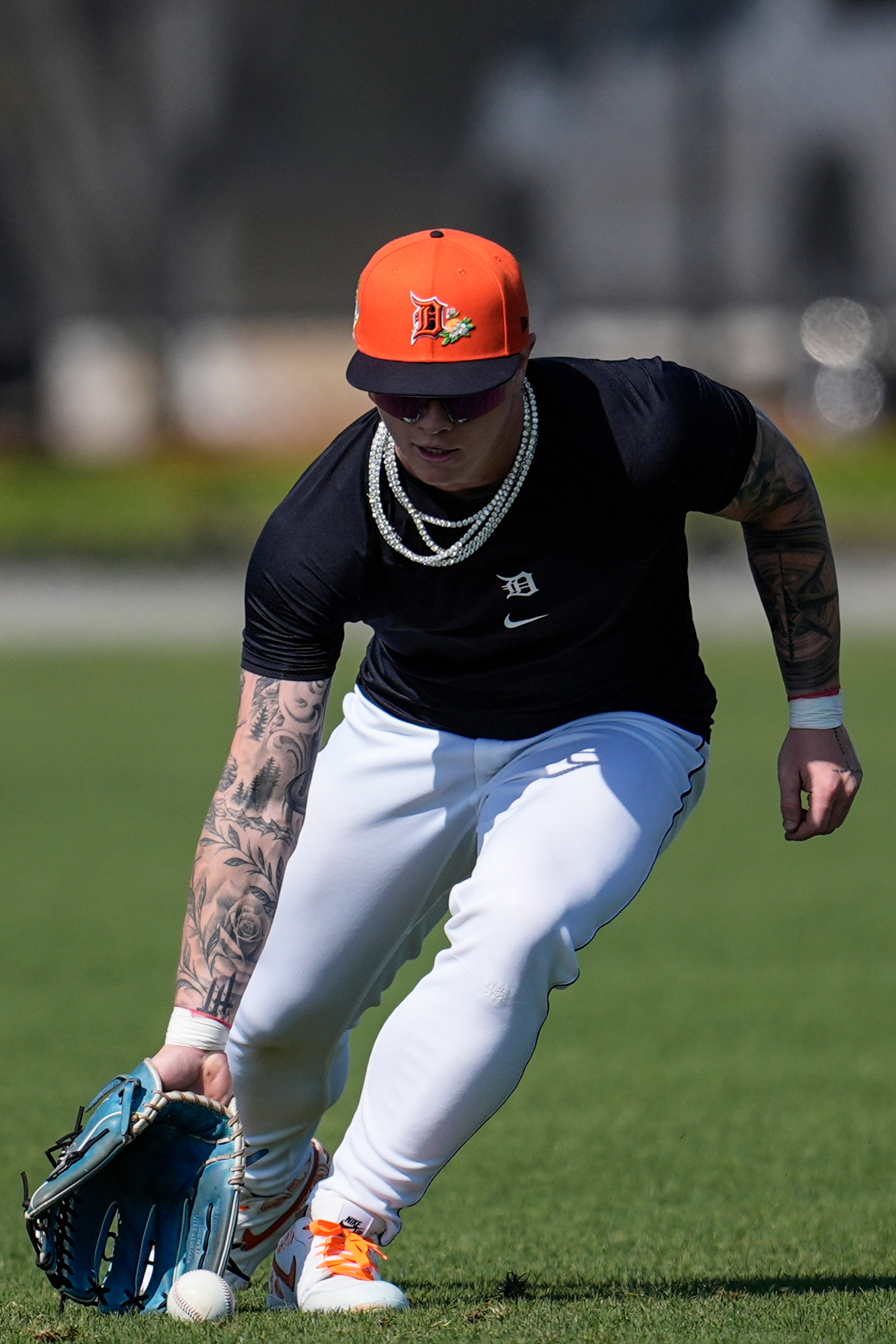 Tigers Spring Baseball