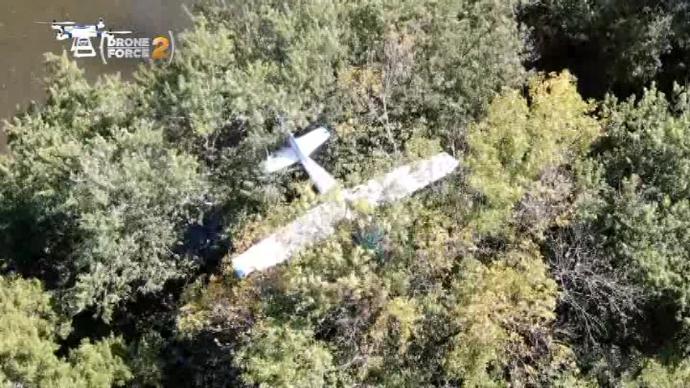 0924_plane_in_tree_CNN.jpg