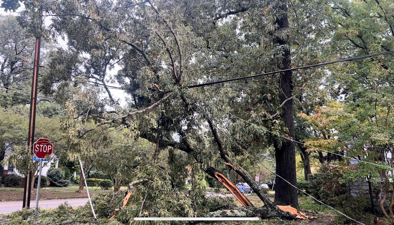 downed line.jpg