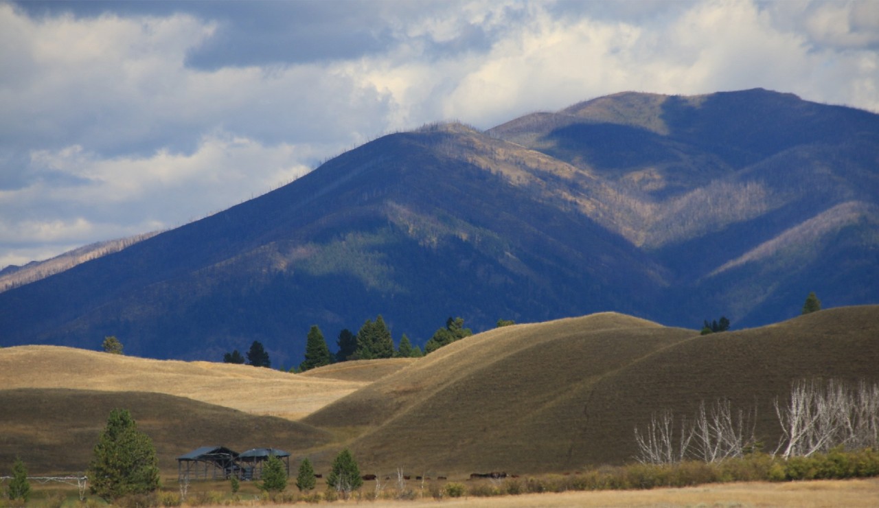 Blackfoot Stewardship Sign