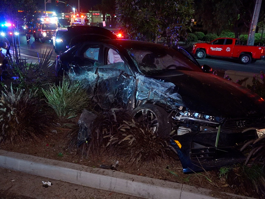 palm_city_chase_pursuit_071624.jpg