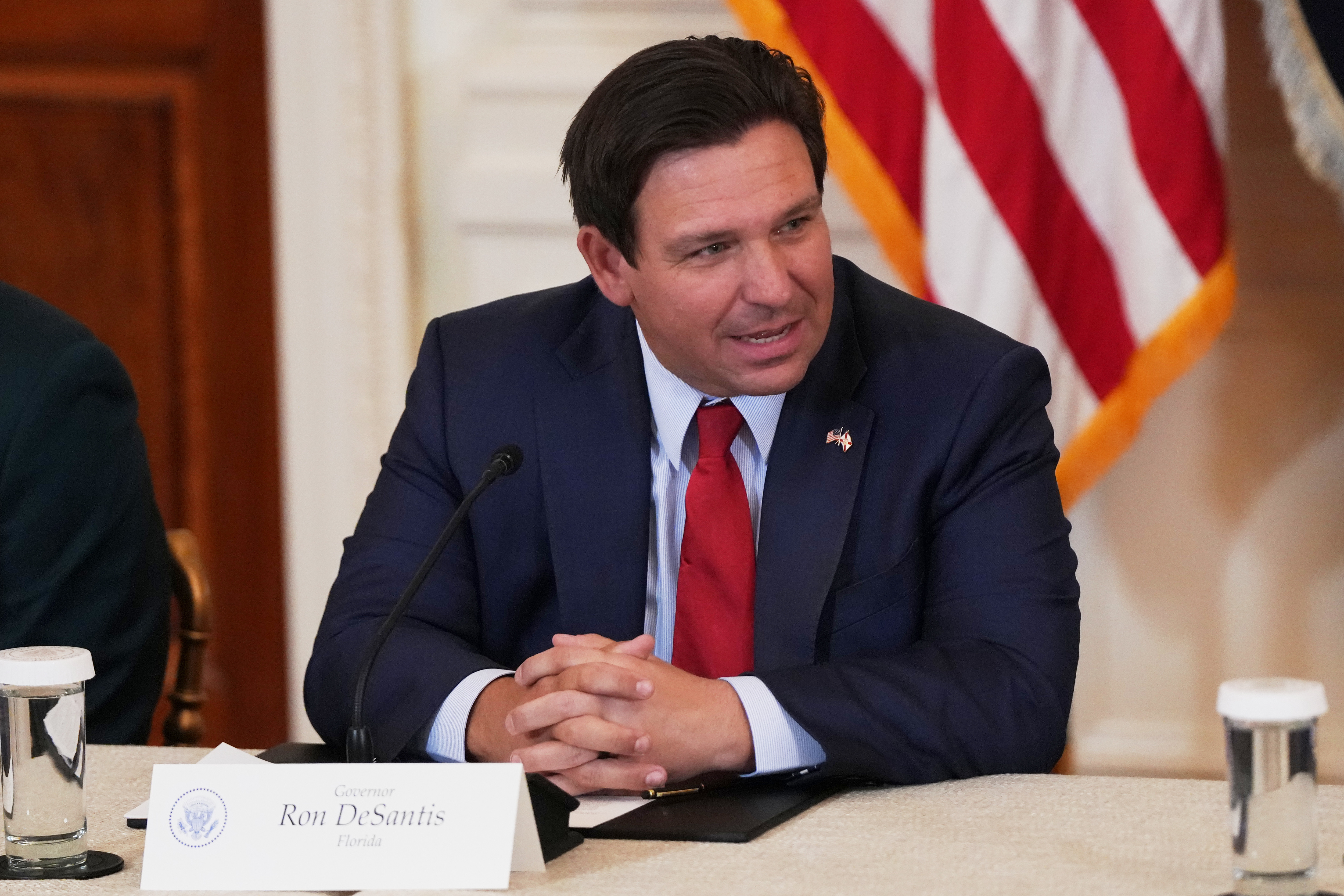 DeSantis Florida Terrorism Law