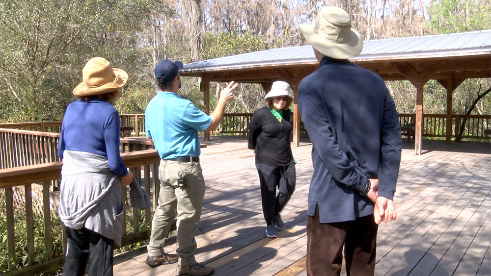 WPTV-LOXAHATCHEE-WILDLIFE-REFUGE-.jpg