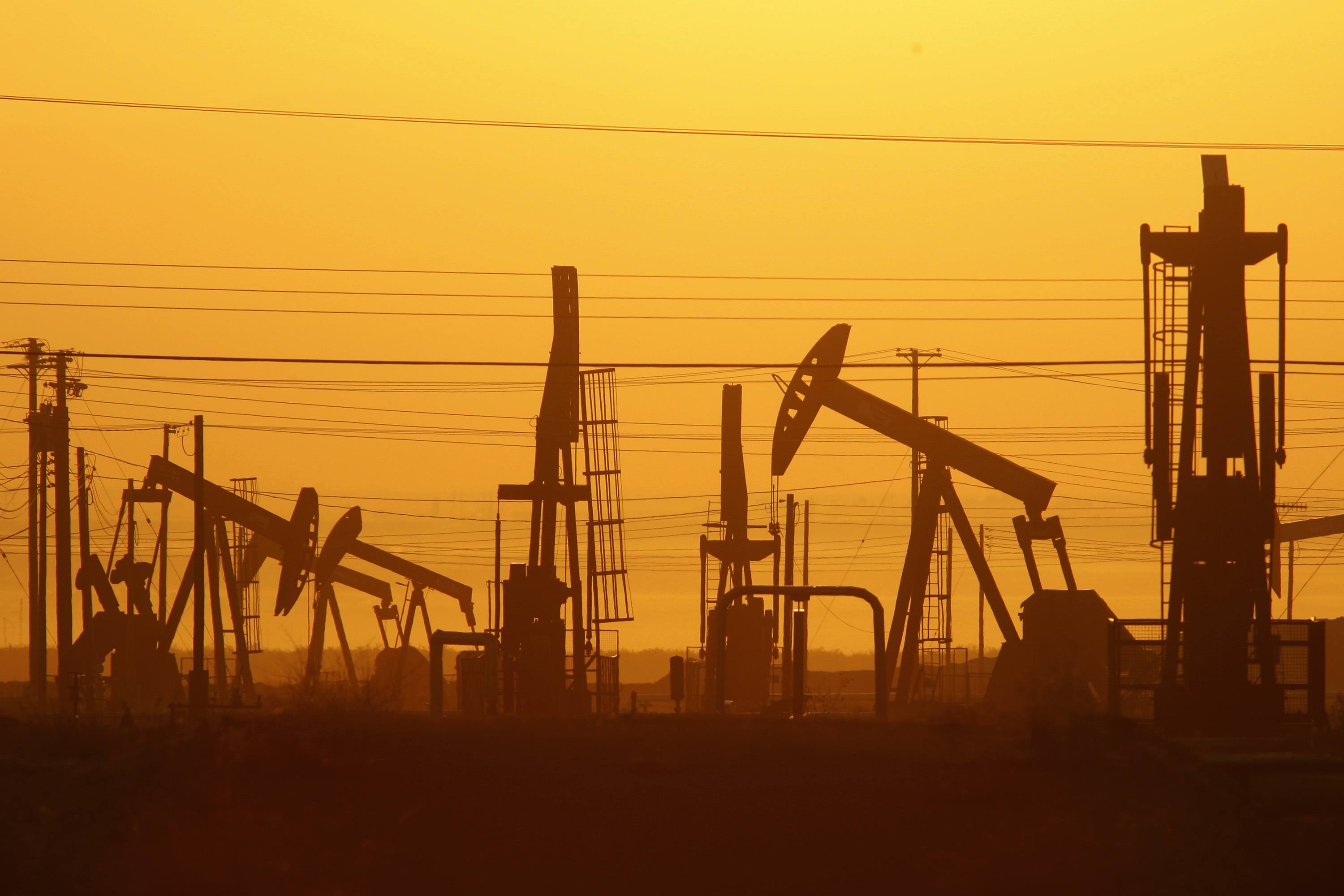 Oil Pumps