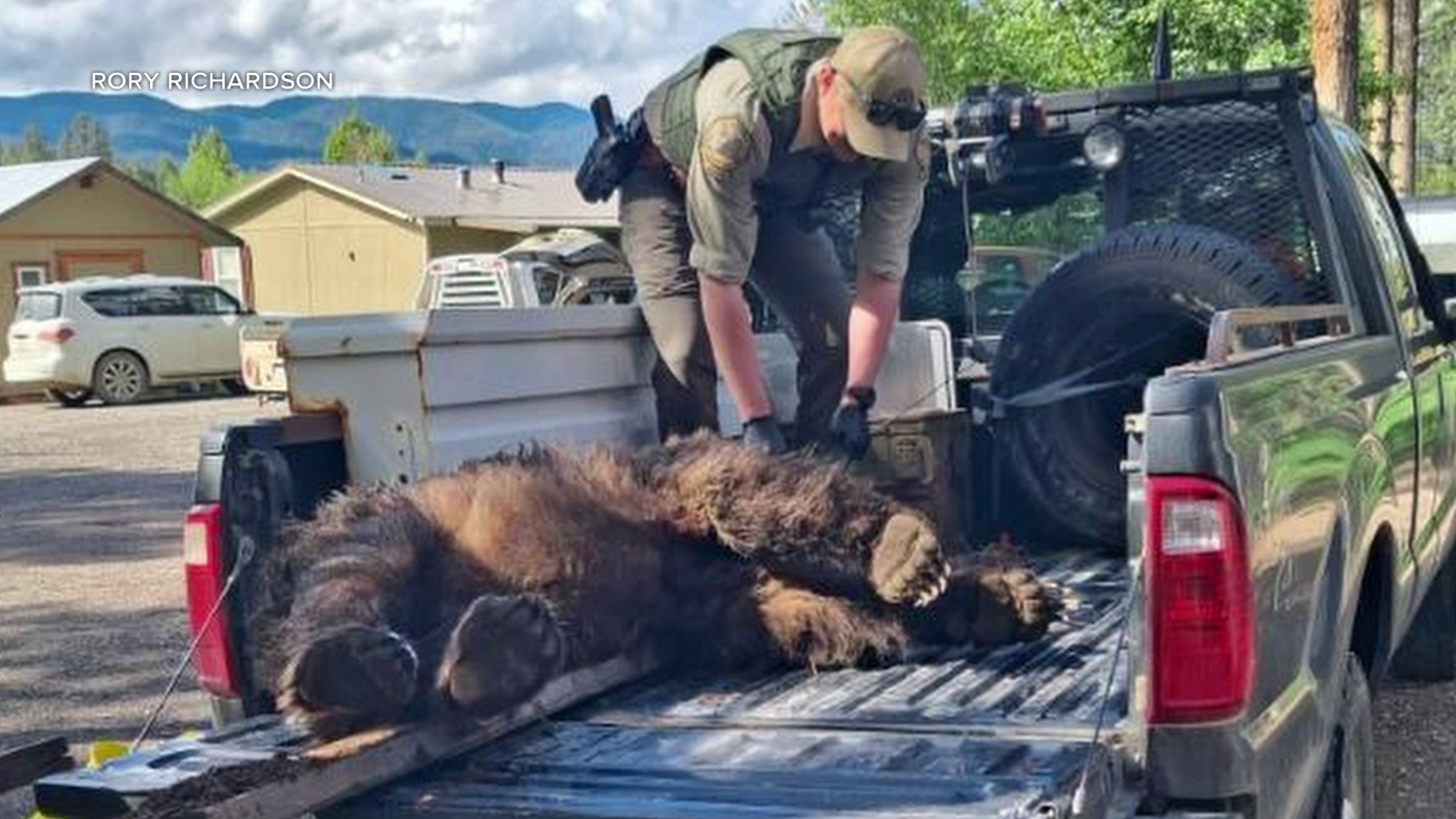Montana teen shoots charging grizzly bear in his backyard