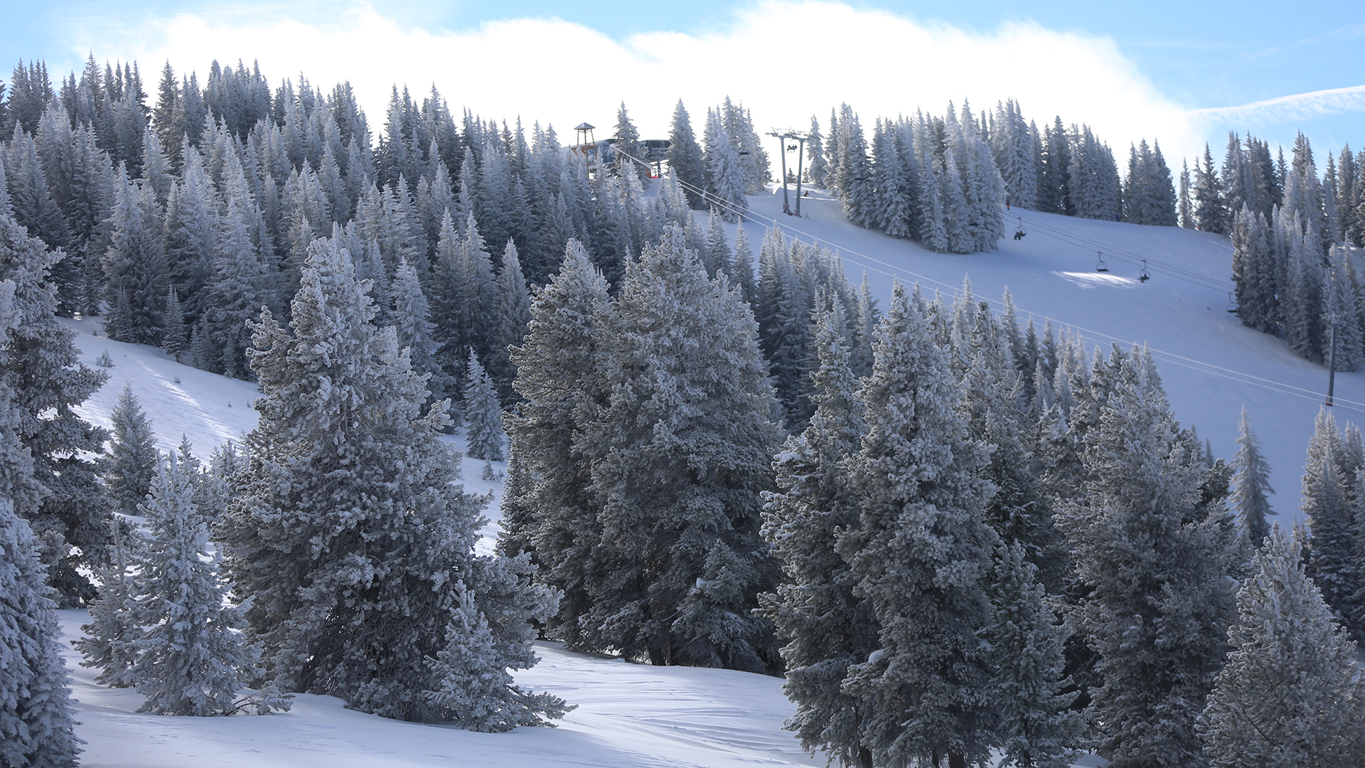 vail resorts.jpg