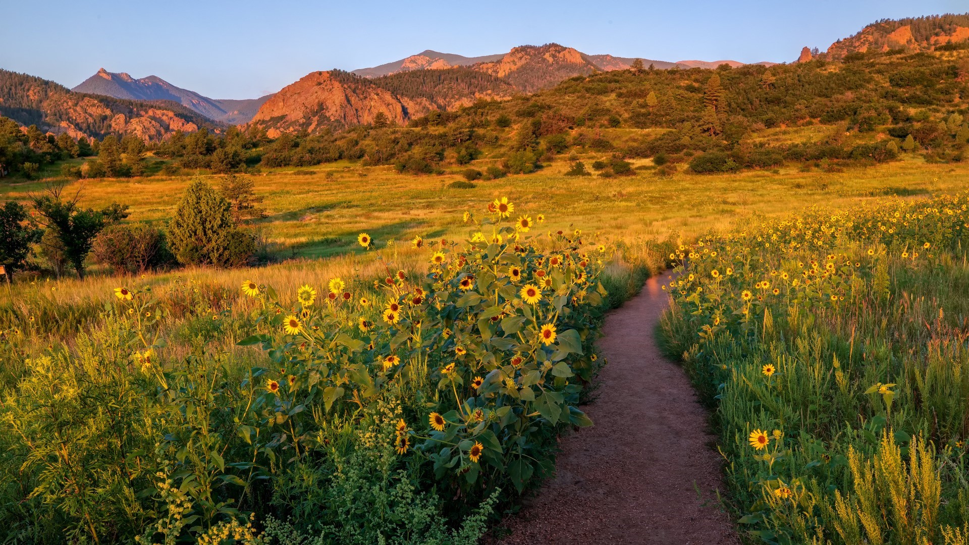 Bruce Hausknecht Stratton Open Space