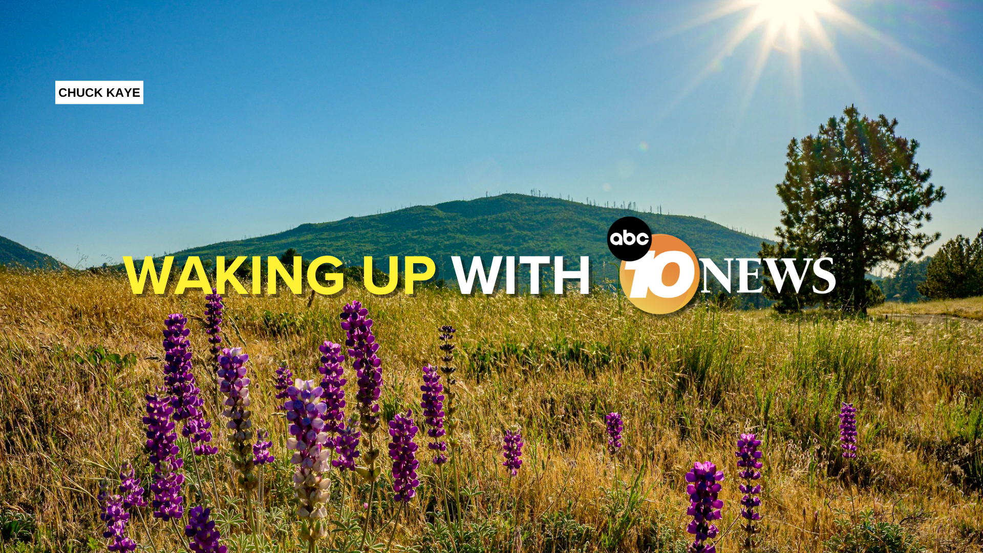 newsletter_cuyamaca_rancho_state_park_chuck_kaye_060825.png