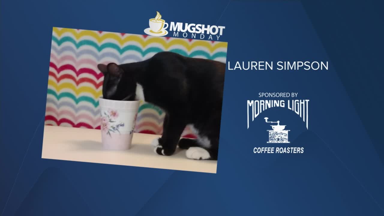 Mug Shot Monday (January 17, 2022)
