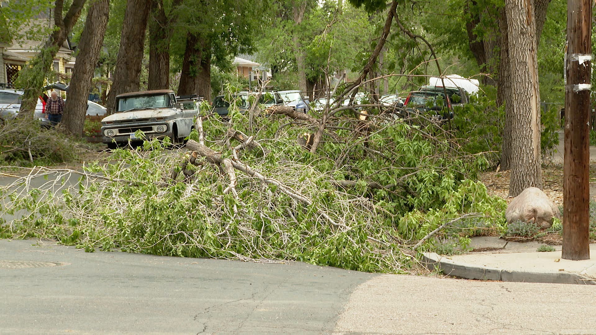 City says downed trees, branches from snowstorm will take six months to clean up