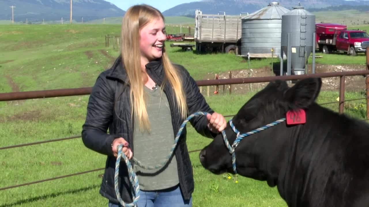 NILE Merit Heifer recipients reflect on skills learned through program - Vimarsana News
