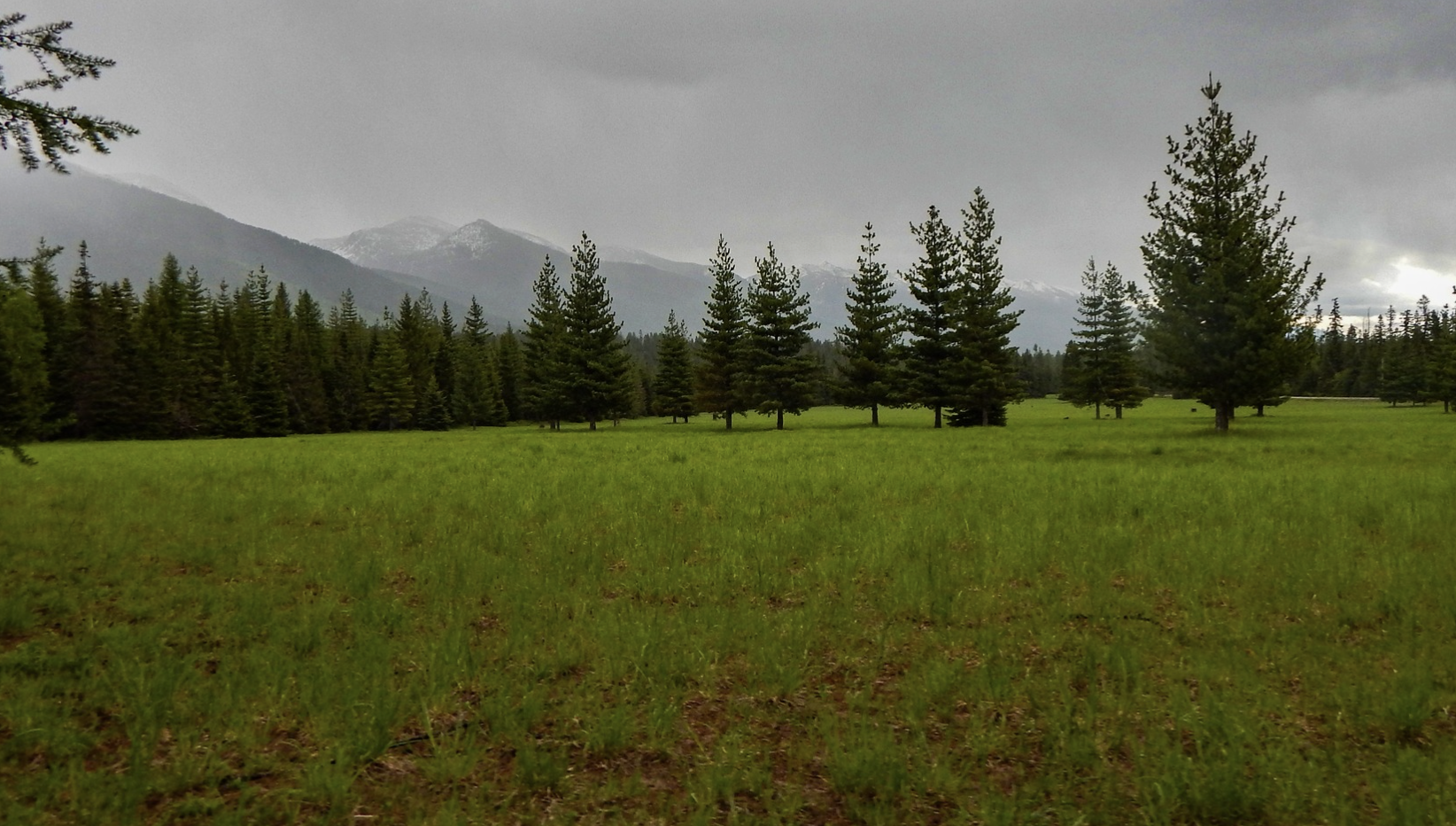 Flathead Land Trust