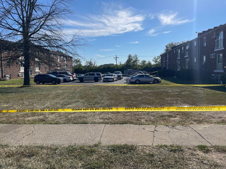 Hollow Creek Shooting Witness Story