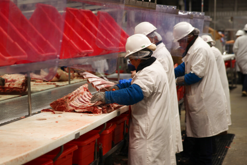 Biden Meat Processing