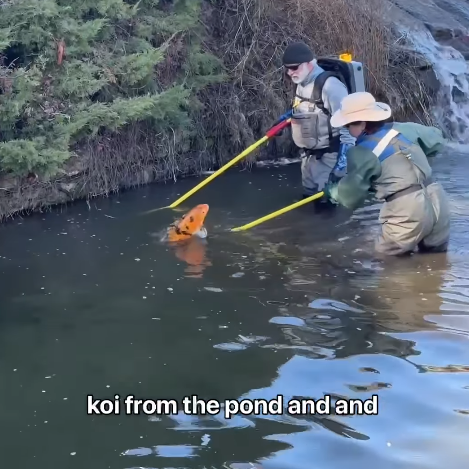 Screenshot 2025-03-09 132553.png