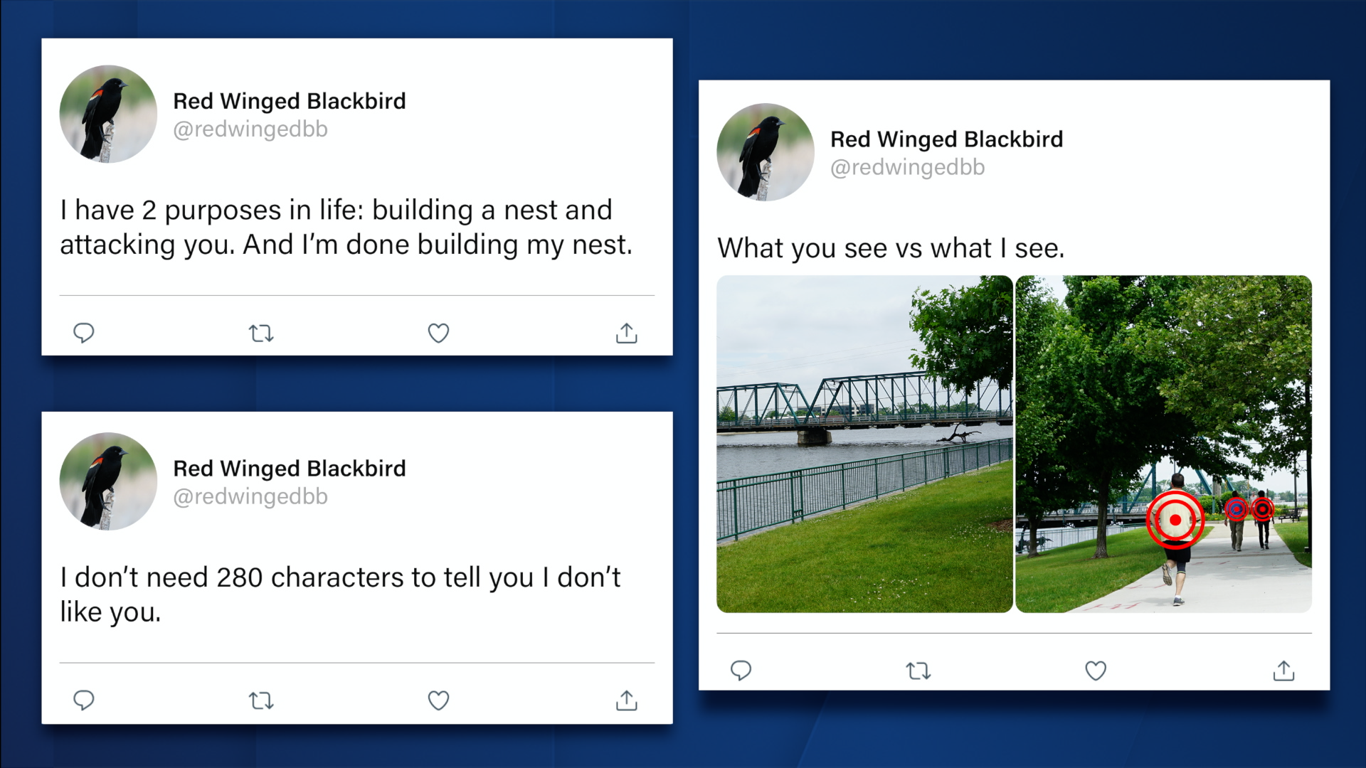 Red-winged blackbird tweets.png