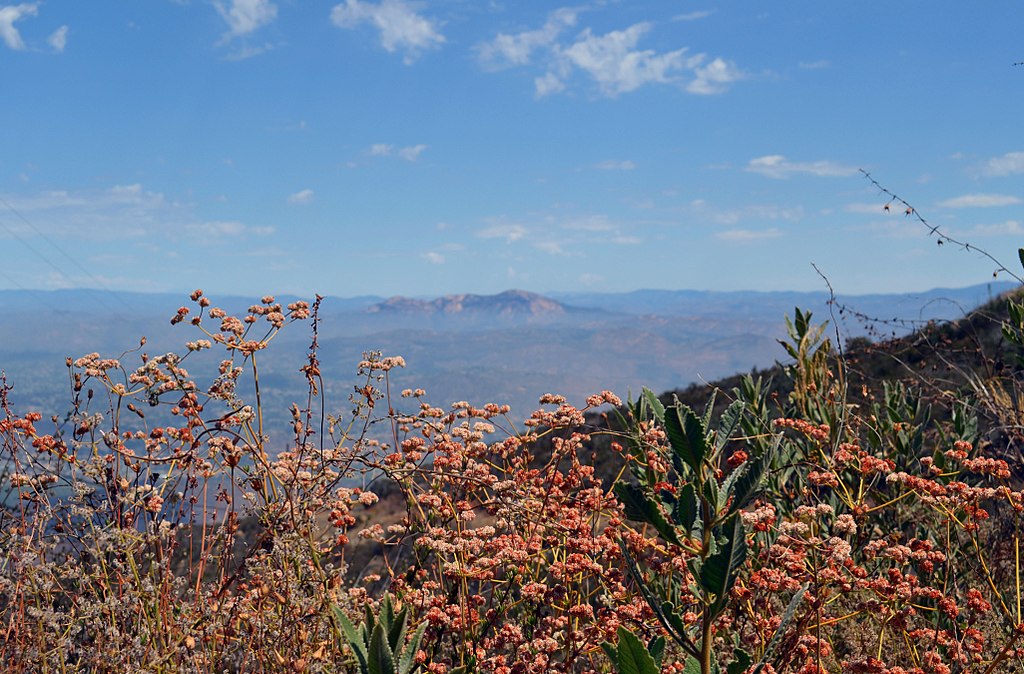 1024px-San_Diego_National_Wildlife_Refuge_(28884246043).jpg