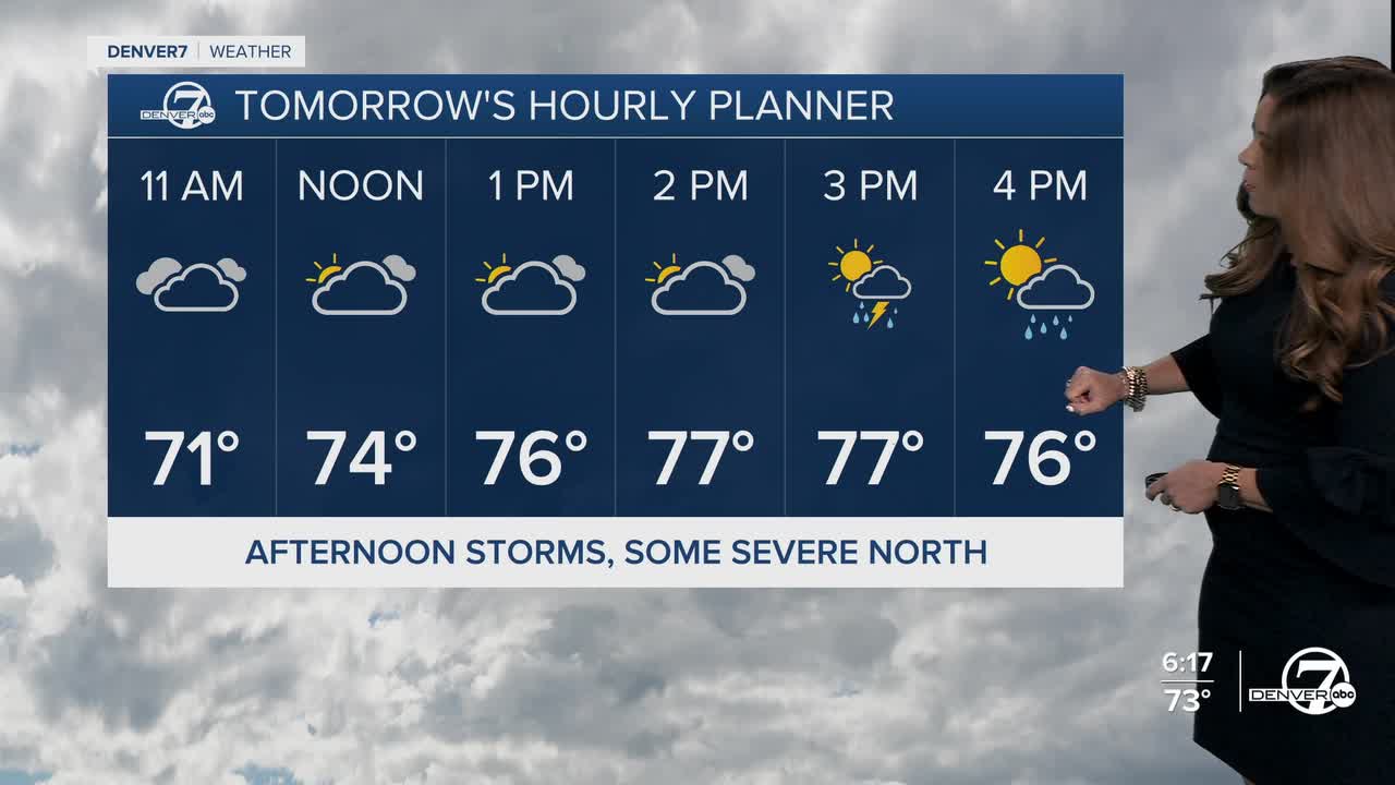 Denver's Hourly Planner for Friday
