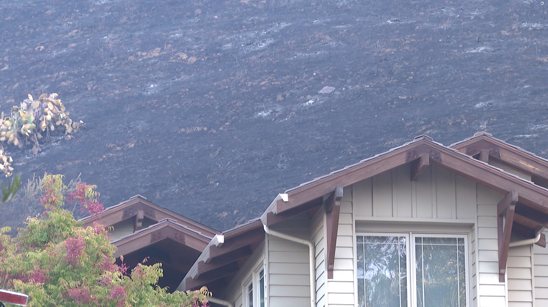 lizzie fire burned hillside.jpg