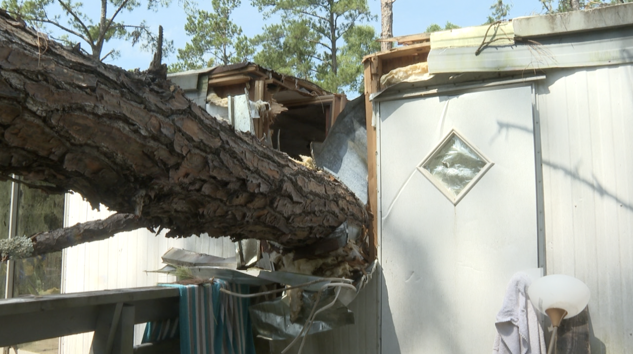 Damage to Christine Webster's home following Tallahassee tornado