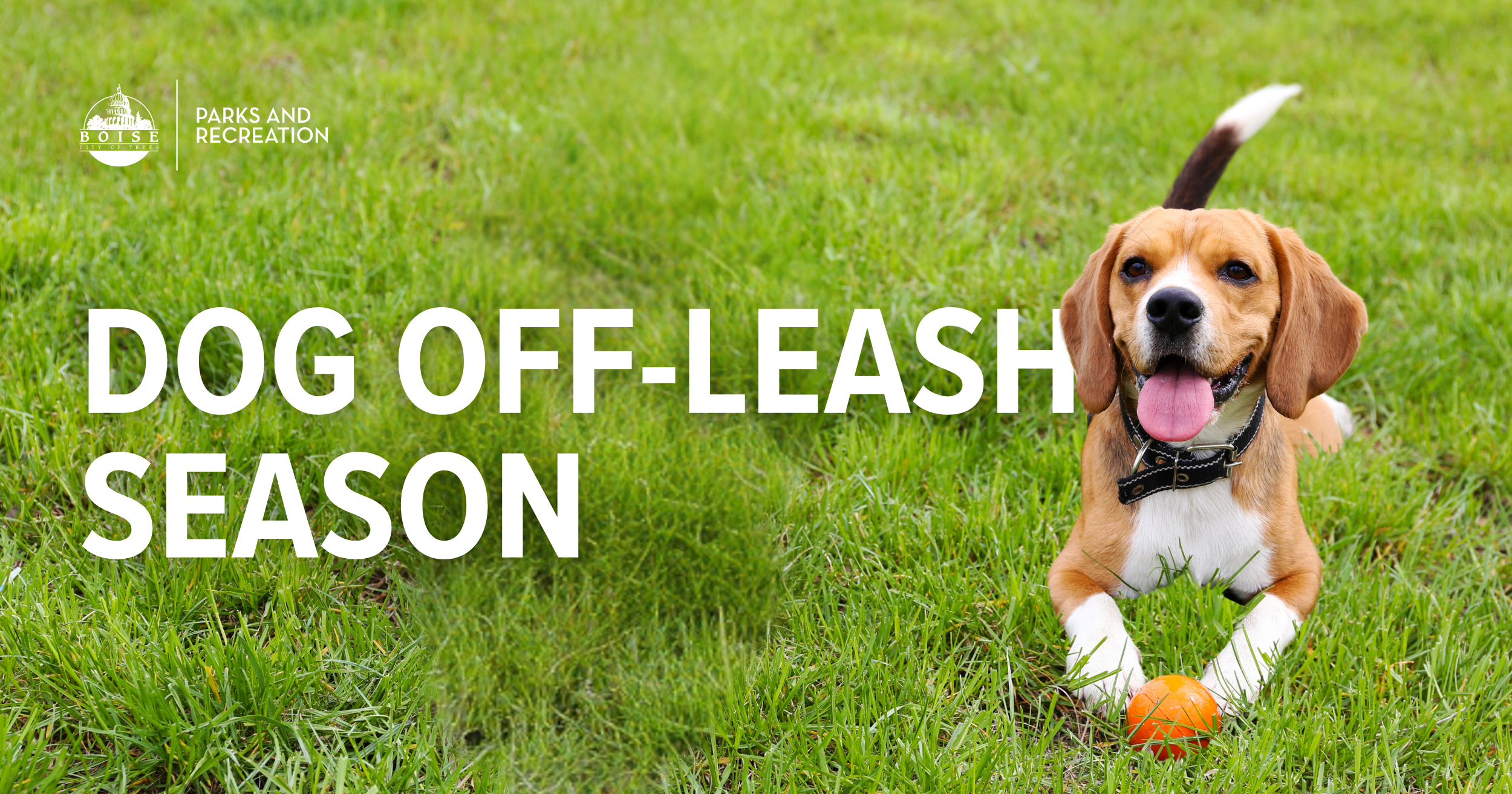 Dog Off-Leash Season in Boise Parks.png