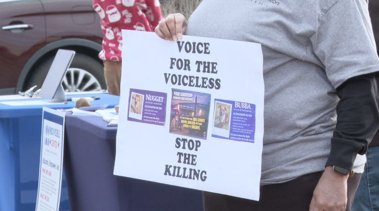 Bell County animal control