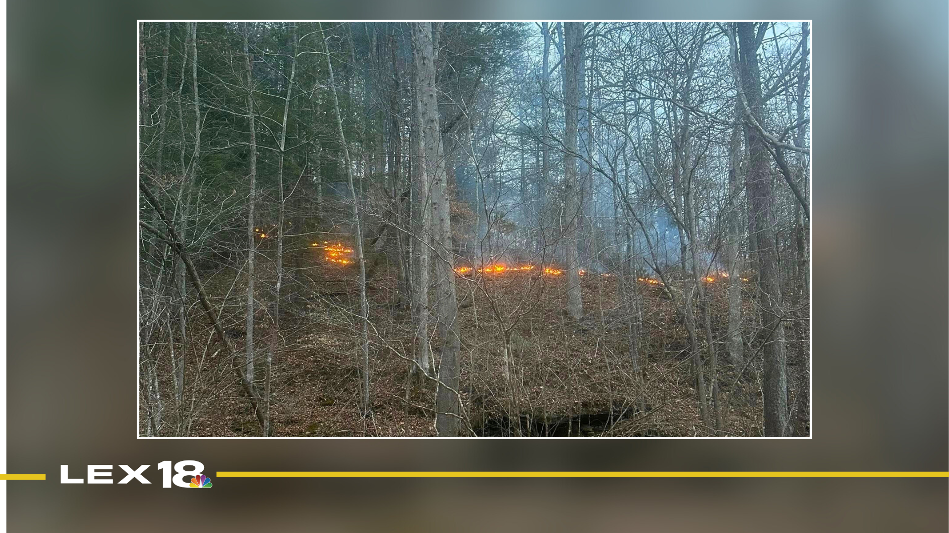 Richland Fire Department responds to brush fire