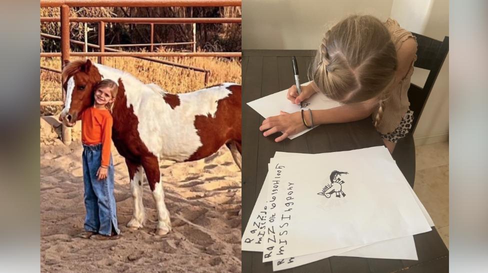 Missing pony Razzle