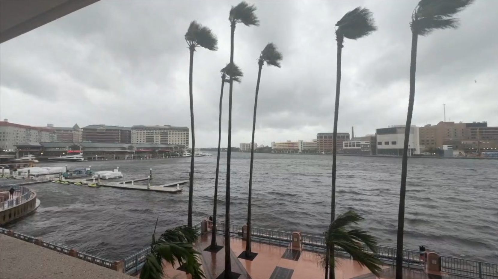 Storm surge impact on Tampa 