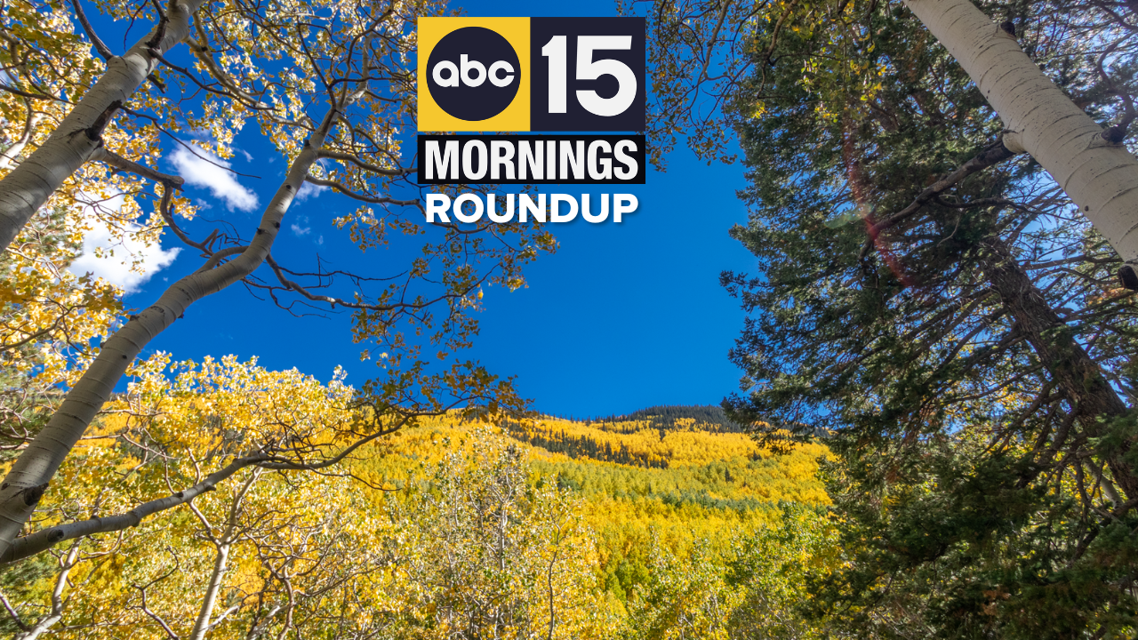 AM roundup added 10-4-25