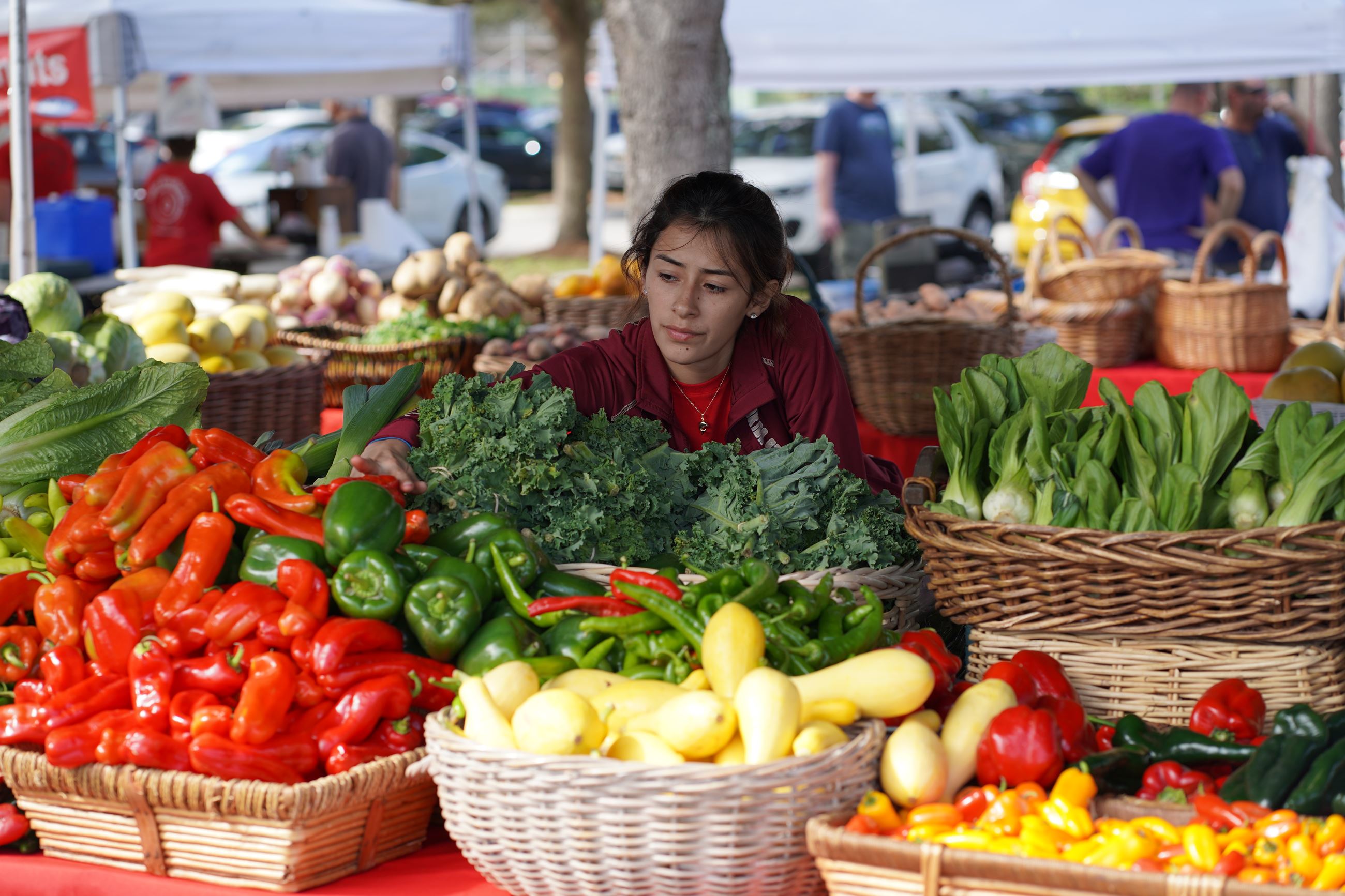 GreenMarket Pavilion at 10500 N Military Trail Palm Beach Gardens.jpeg