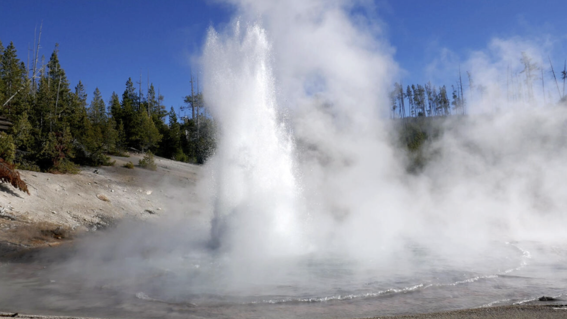 GEYSER TALL.png