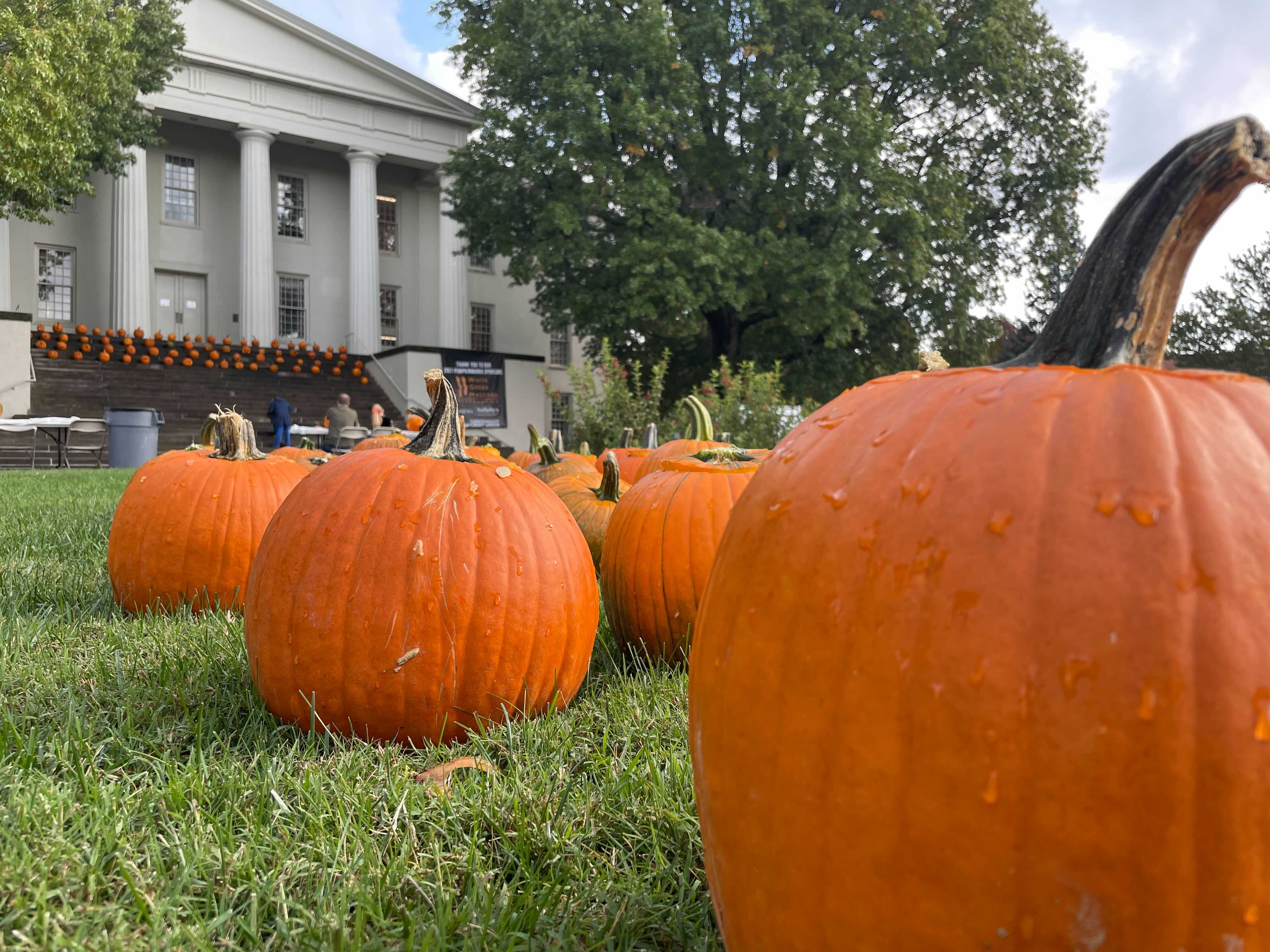 Pumpkins.jpg