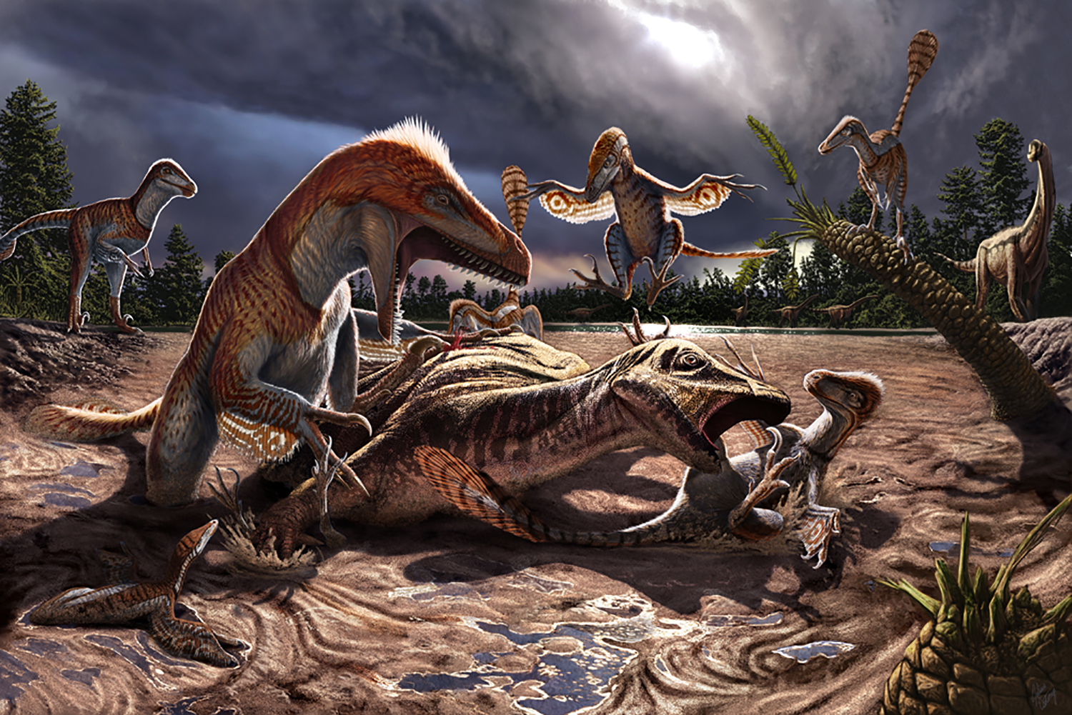 Utahraptors