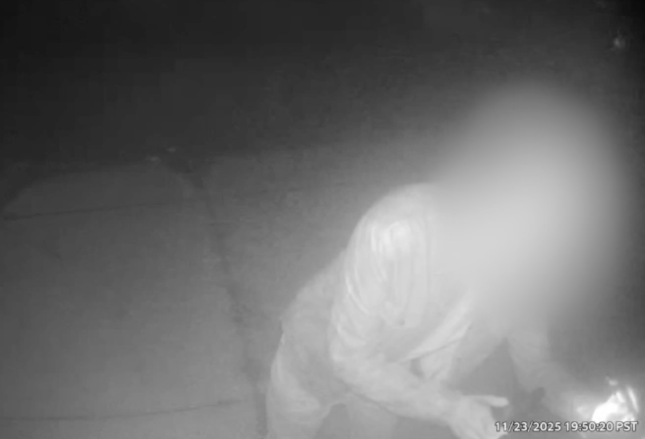 Trump-themed flag defaced with swastika and Hitler mustache outside La Jolla home