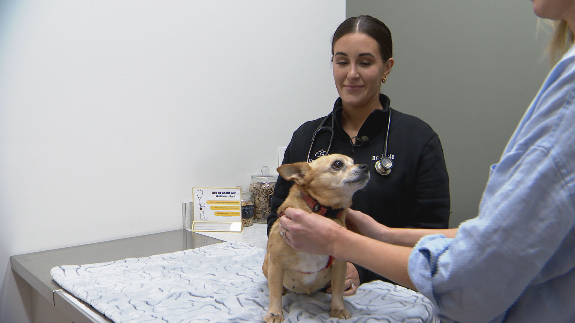Protecting pets and people from ticks 