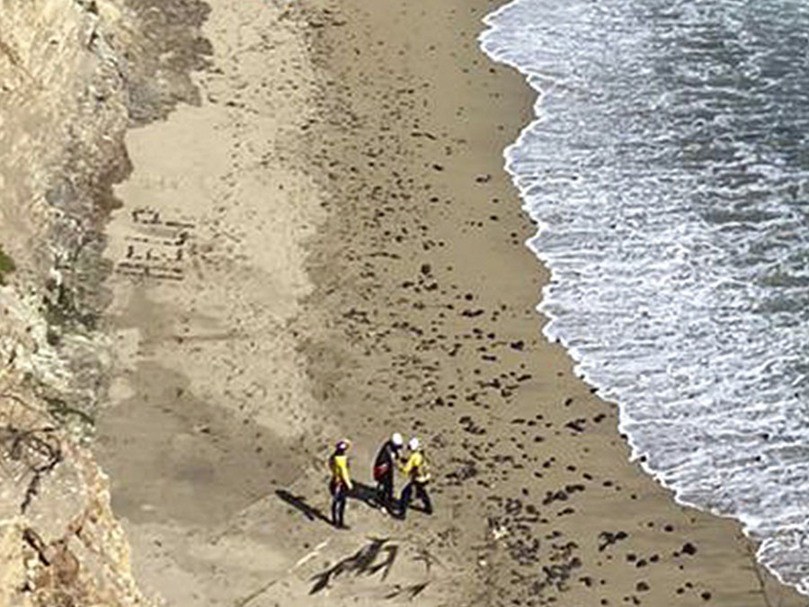 California Beach Rescue