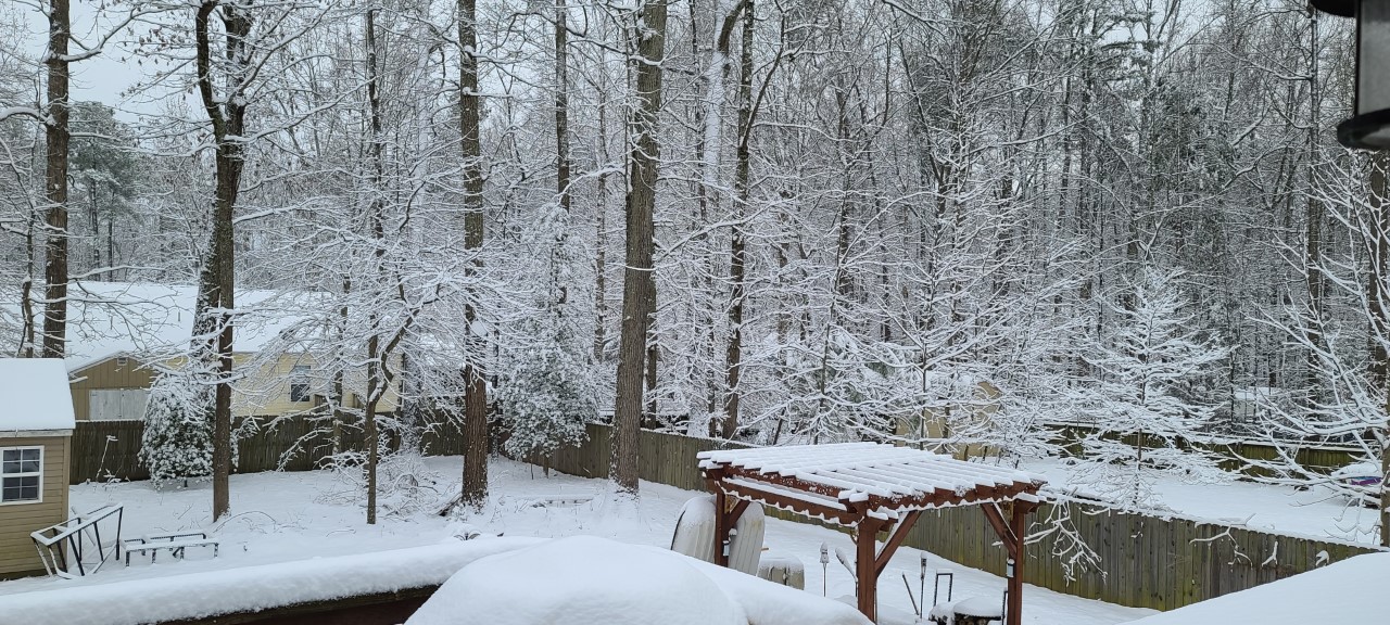 Lake Caroline Ruther Glen David Musselman.jpg